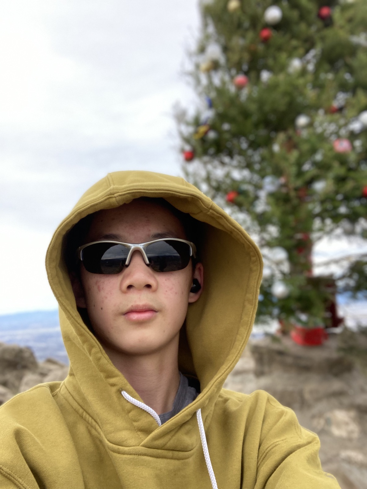 Mission Peak summit, 2023 — by the summit tree