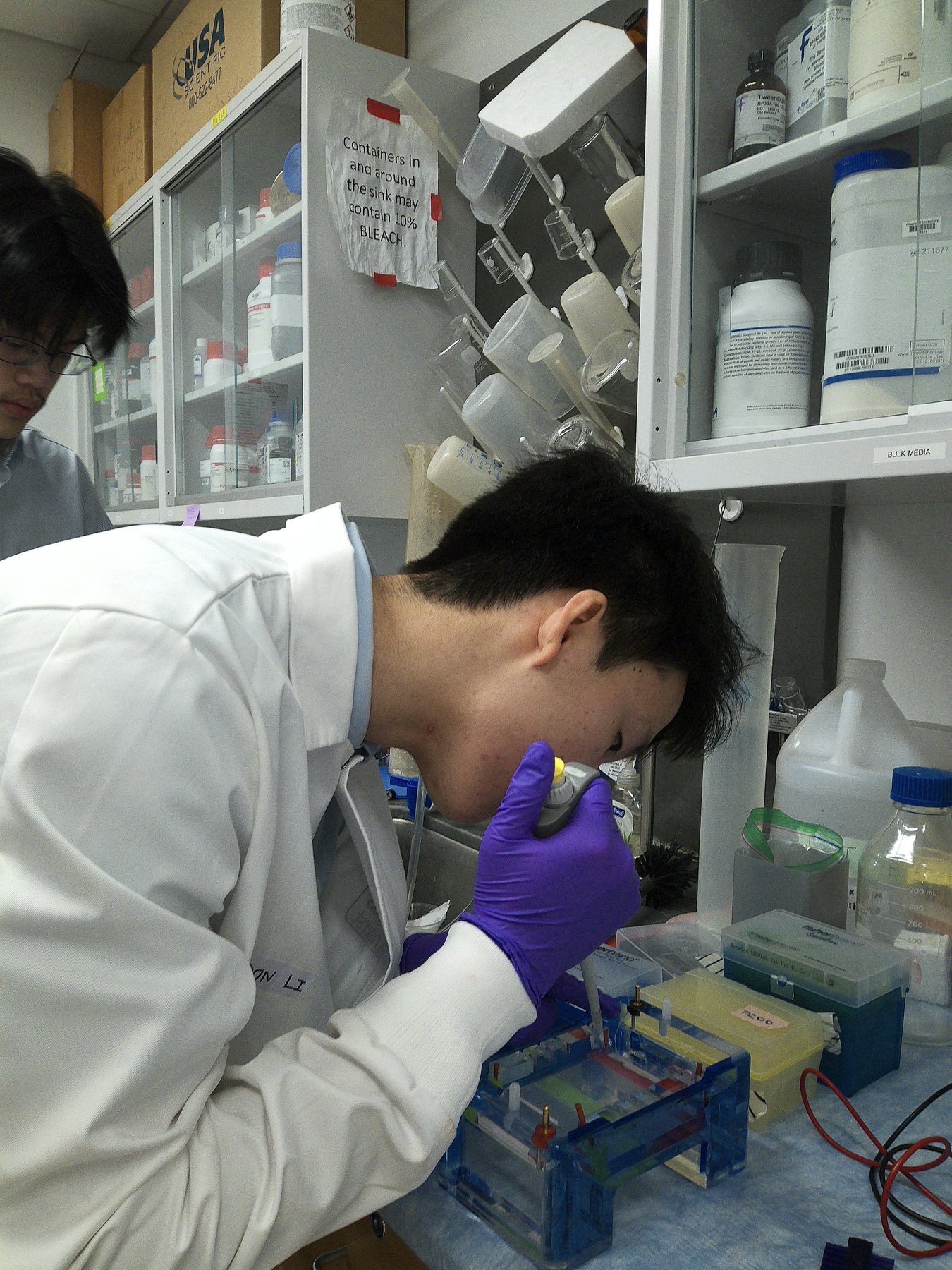 Jadon in a lab coat and purple gloves, micropipetting at the bench in the Ma Lab